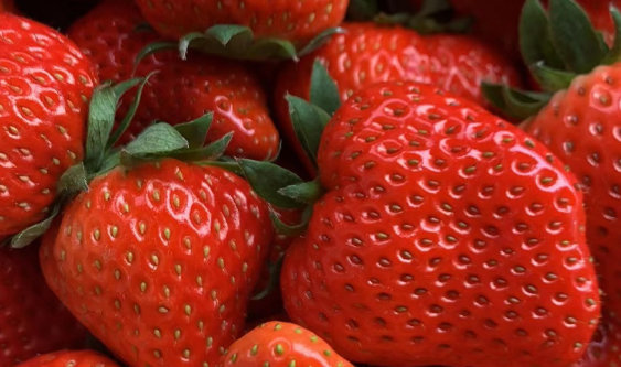 4月9日：“农产品批发价格200指数”比昨天下降0.09个点