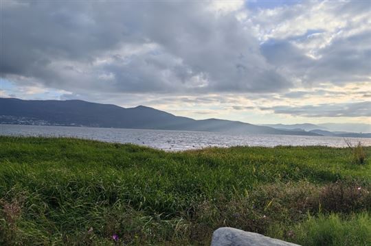 4月第3周畜产品和饲料集贸市场价格情况