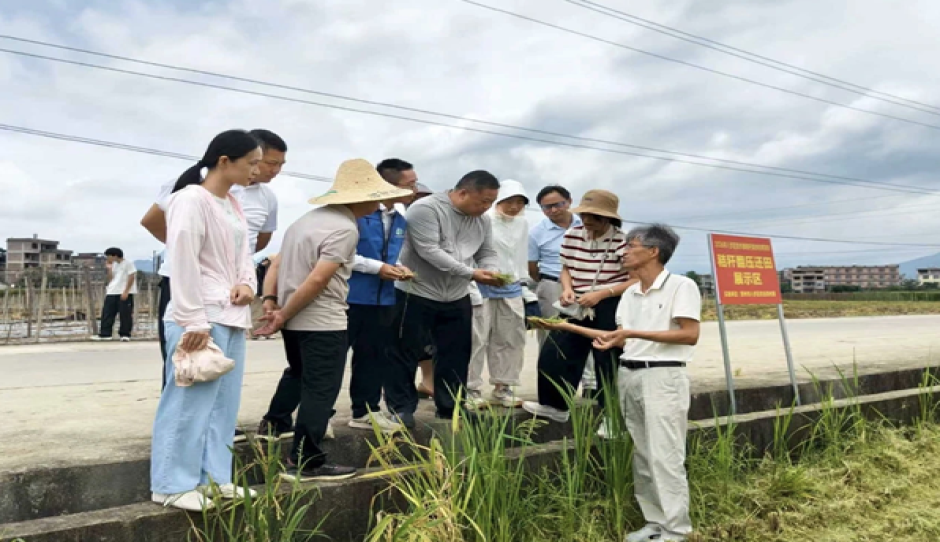 广西农科院资环所科技人员至贺州开展水稻科学施肥和秸秆还田技术培训