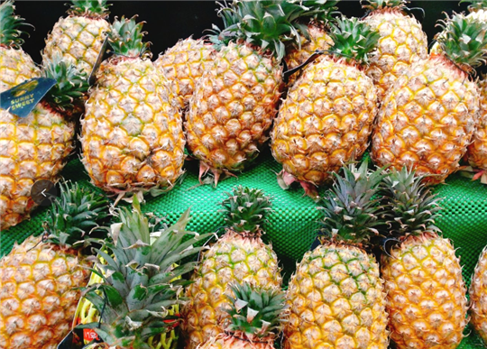 “海南鲜品”品牌升级，这些食品机械迎来发展新机遇