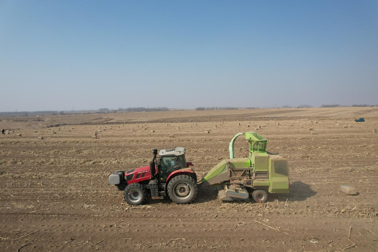從一見鐘情到3年信賴！內(nèi)蒙古王師傅為順邦“致富鐵搭檔”代言